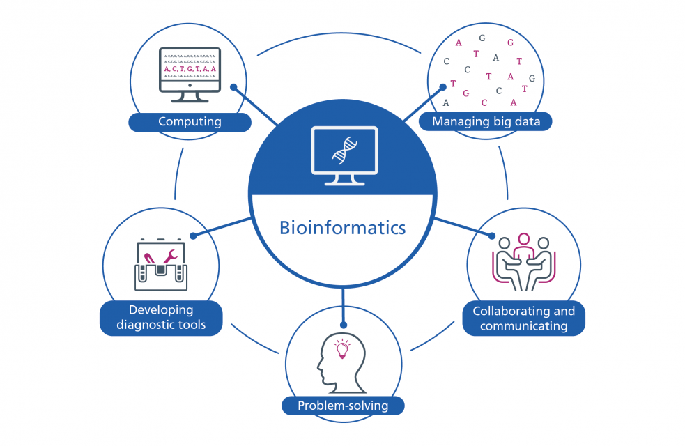 What is bioinformatics? What is bioinformatics?