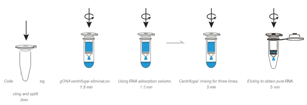 BioSci™ Animal Tissue Cell Total RNA Extraction Kit 1.webp